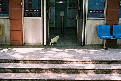 《死亡空间》之父称不能参与重制工作 感觉有些遗憾