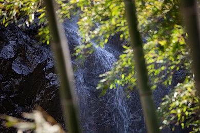 索尼公司组建全新法务团队 专攻反垄断与收购事宜